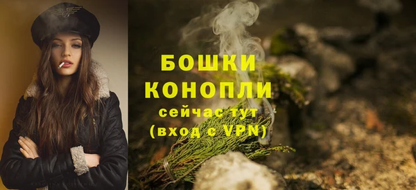 спиды Козловка