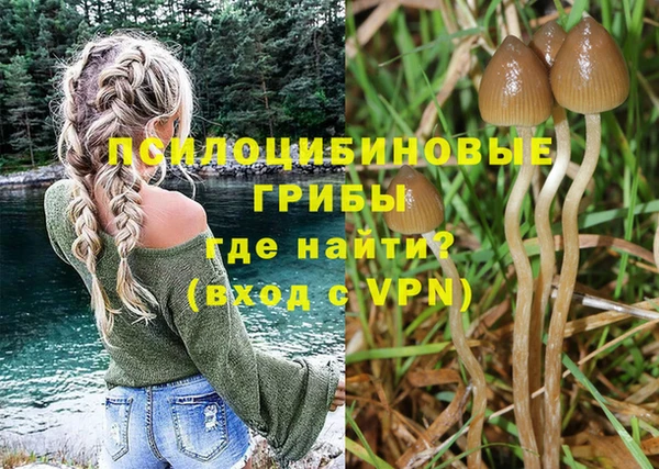 винт Козельск