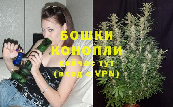 эйфоретик Кинешма