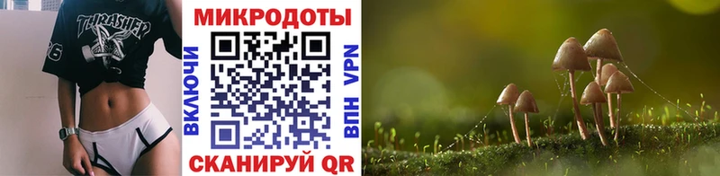 мега как зайти  Лянтор  Псилоцибиновые грибы мухоморы 