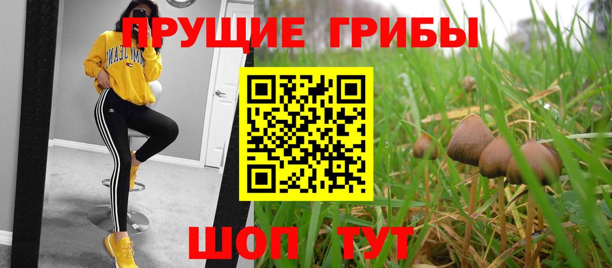 МЕТАДОН Лянтор