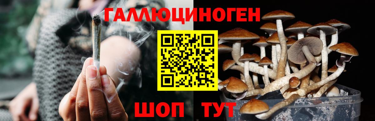 Галлюциногенные грибы MAGIC MUSHROOMS  Вход с VPN  Галлюциногенные грибы Psilocybe  Лянтор 